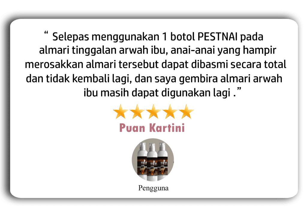 testimonianai-PESTNAI1-1-1.png